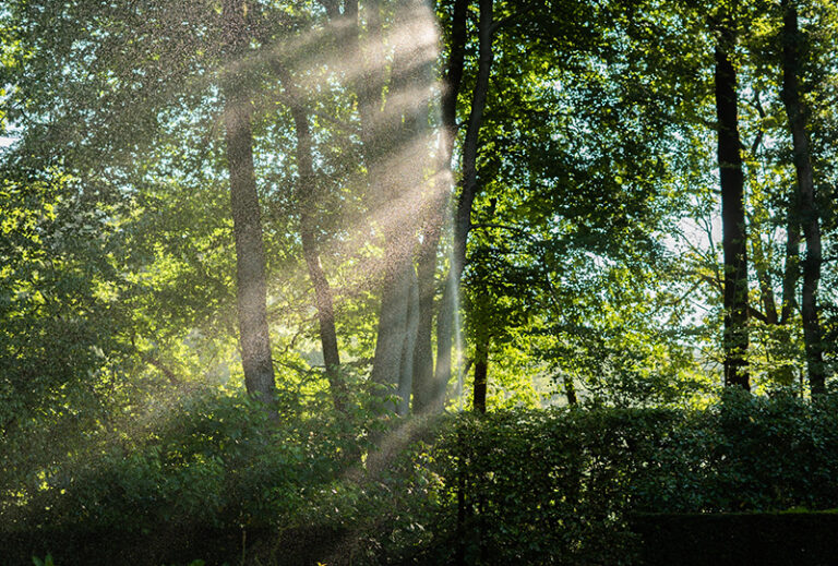 Beregening Putten